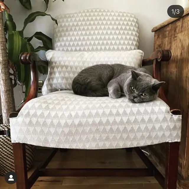 reupholster chair